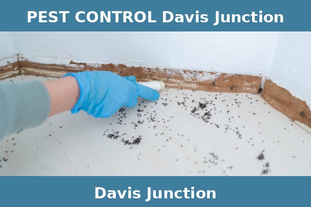 PEST CONTROL Davis Junction